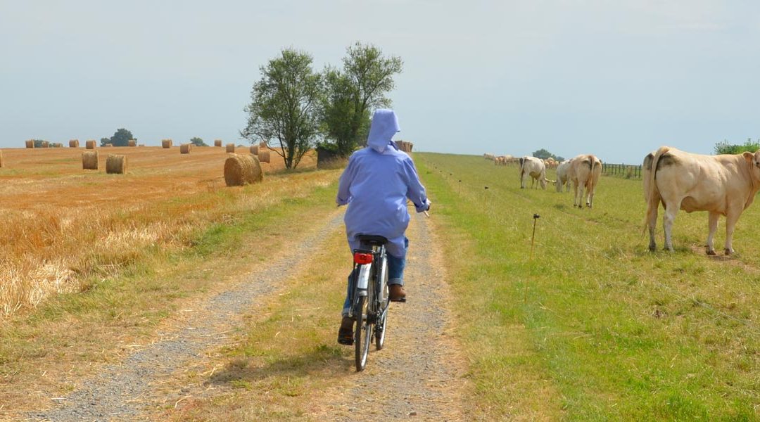 Séjours découverte