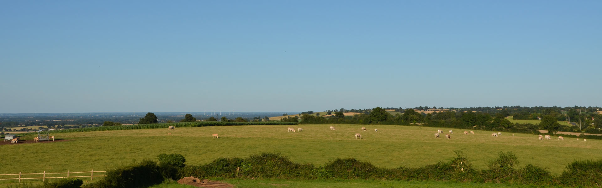 Vue panoramique