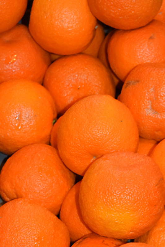 Oranges