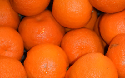 L’orange dans tous ses éclats